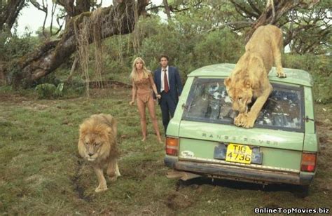 film sheena regina junglei 1984 online subtitrat hd