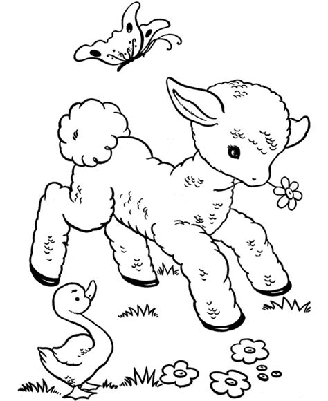 top  ideas  baby animal coloring sheets home family