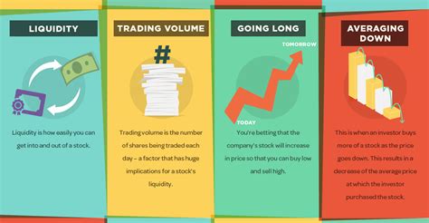infographic  stock market terms   beginner