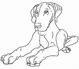 Coloring Pages Realistic Puppy Printable Dogs Comments sketch template