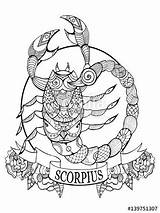 Coloring Zodiac Scorpio Sign Pages Signs Book Vector Mandala Fotolia Color Colouring Illustration Stencil Adults Printable Adult Tattoo Getcolorings Stock sketch template