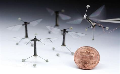 insect drones  rise   microdrones