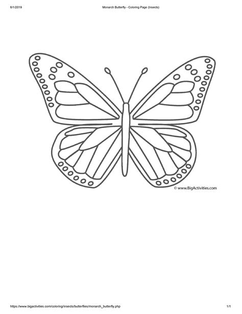 printable cut  butterfly templates templatelab