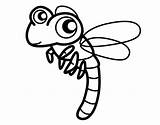 Dragonfly Coloring Coloringcrew Flying sketch template