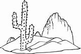 Cactus Coloring Pages Desert Printable Saguaro Kids Prickly Pear Clipart Drawing Cactaceae Whitish Flower Color Print Cartoon Dibujo Plant Growing sketch template