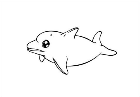 dolphin coloring pages  ai