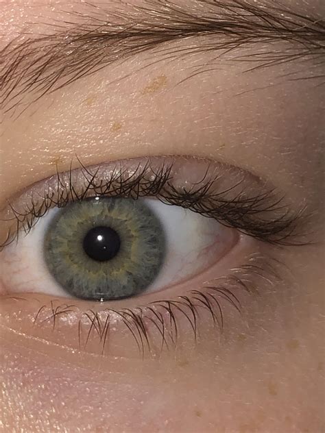 eye color   ive   green blue