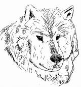 Loup Tete Coloriage Imprimer Environnement Adulte Patrimoine sketch template