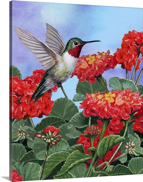 Hummingbird And Flower Ii Wall Art Canvas Prints Framed Prints Wall