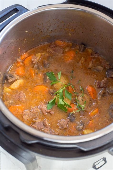 instant pot beef stew gal on a mission