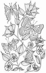 Coloring Butterflies Pages Butterfly Adult Welshpixie Deviantart Adults Colouring Dessin Papillon Print Mariposas Vlinders Color Book Adultes Amazing Mandalas Mandala sketch template