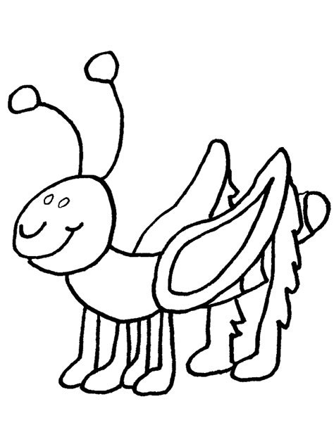 insect colouring sheets   insect colouring sheets png