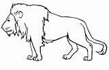 Lion Male Coloring Pages Printable Kids Online African sketch template