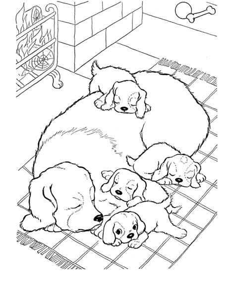 cat  dog coloring pages coloring home