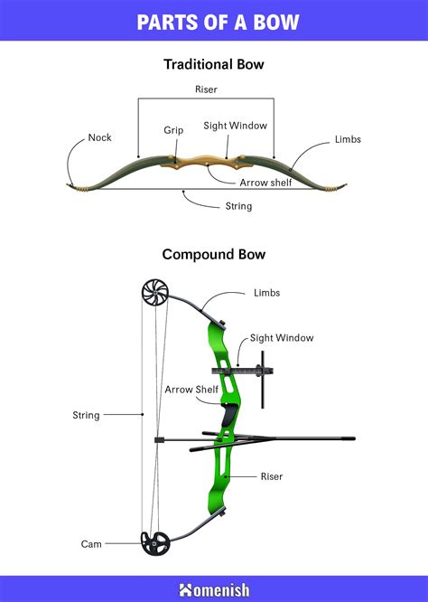 parts   bow explained  diagram homenish
