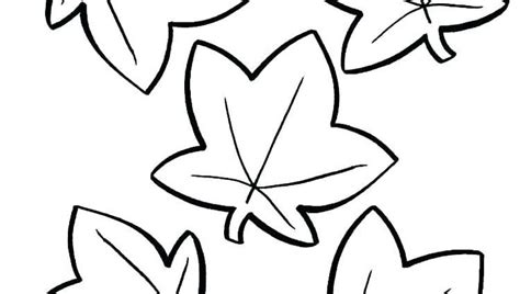 leaf coloring page leaf coloring  coloring sheets shape