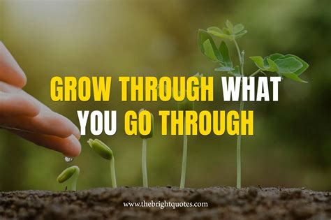 grow       bright quotes