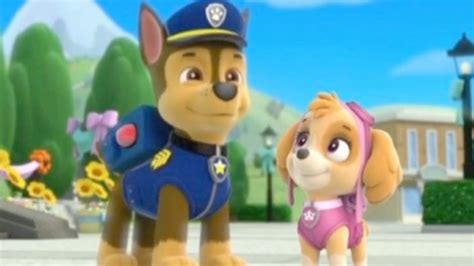 Paw Patrol Сhase And Skye Love Story Youtube