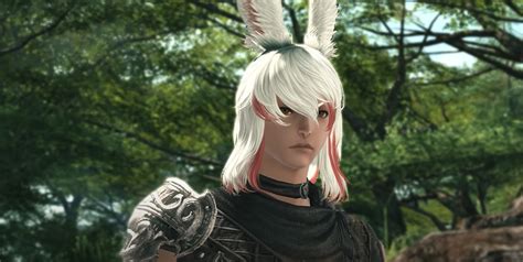 square enix introduce male bunny to final fantasy xiv sidequesting