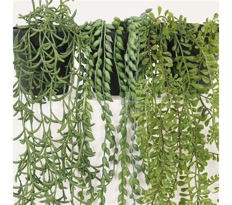 plante succulente retombante artificielle  cm lot de  plante