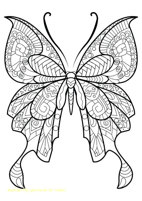 printable butterfly coloring pages  printable butterfly