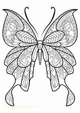 Butterfly Coloring Pages Printable Adults Adult Easy Info sketch template
