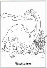 Coloring Plateosaurus Pages Dinosaur Kids Da Scegli Bacheca Una sketch template