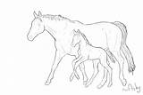 Lineart Foal Horse Mare sketch template