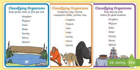 science classifying organisms mnemonic display posters