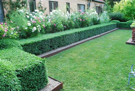 landscaping  boxwood hedges randolph indoor  outdoor design