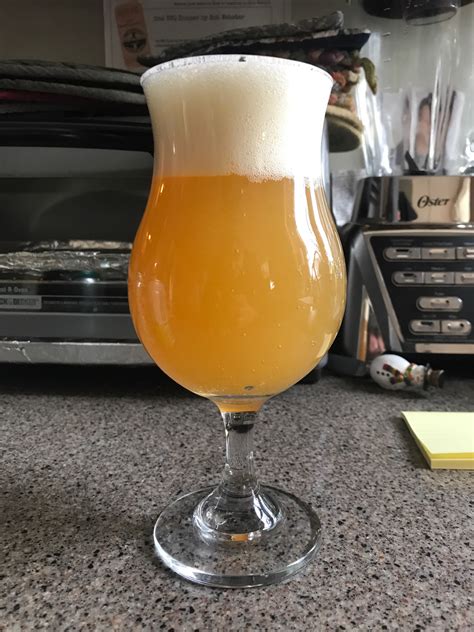 Tulip Beer Glass Size