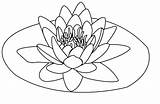 Lotus Coloring Flower Pages Colouring Printable Print Kids Clipart Book Sheets Template Mandala Transparent Webstockreview Coloringstar sketch template