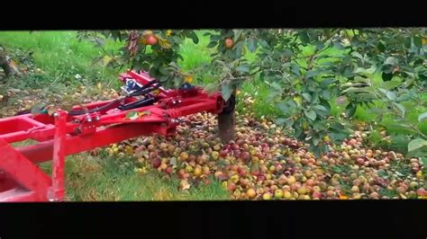 amazing apple picking machine youtube