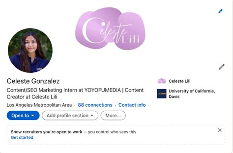 linkedin  college students ultimate guide celeste lili