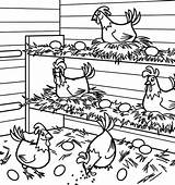 Chicken Coloring Coop Pages Egg Lays Drawing Hen Cartoon Color Netart Drawings Kids Sheets Run Getdrawings Family Choose Board sketch template