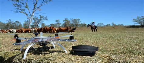 farmers   cattle surveillance drones    eye   livestock