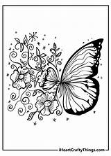 Butterflies Iheartcraftythings Finished sketch template