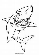 Hai Shark Scary Cool2bkids Malvorlagen sketch template