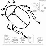 Hercules Coloringbay Beetles Coloringfolder sketch template