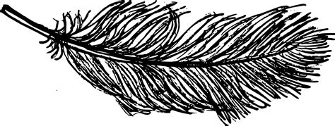 feather drawing png transparent onlygfxcom