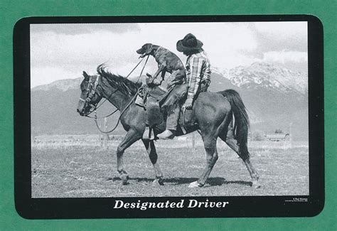 designated driver horse dog cowboy playing card single ace  hearts