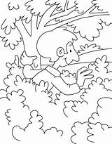 Coloring Boy Bushes Hiding Park Pages Kids sketch template