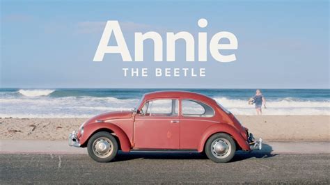 annie the beetle owner spotlight youtube