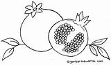 Buah Mewarnai Delima Sketsa Kartun Buku Salak Diwarnai Gambarmewarnai Disimpan Fruit Naga Kumpulan Kiwi Wegner sketch template