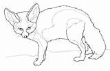 Fennec Fennek Ausmalbild Entdeckt Etwas sketch template