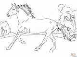 Horse Coloring Detailed Pages Printable Getcolorings Adults sketch template