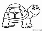 Coloring Turtle Pages Yertle sketch template