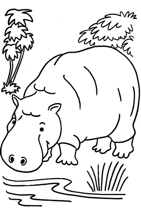 awesome jungle coloring pages
