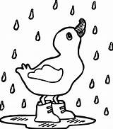 Duck Coloring Pages Cute Ducks Oregon Easy Baby Drawing Printable Tupac Getdrawings Umbrella Getcolorings Rain Rubber Color Colouring Silhouette Book sketch template