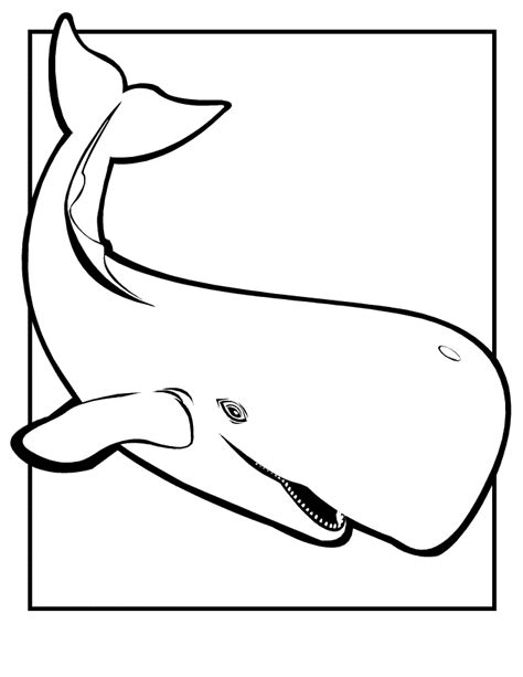 printable whale coloring pages  kids whale coloring pages
